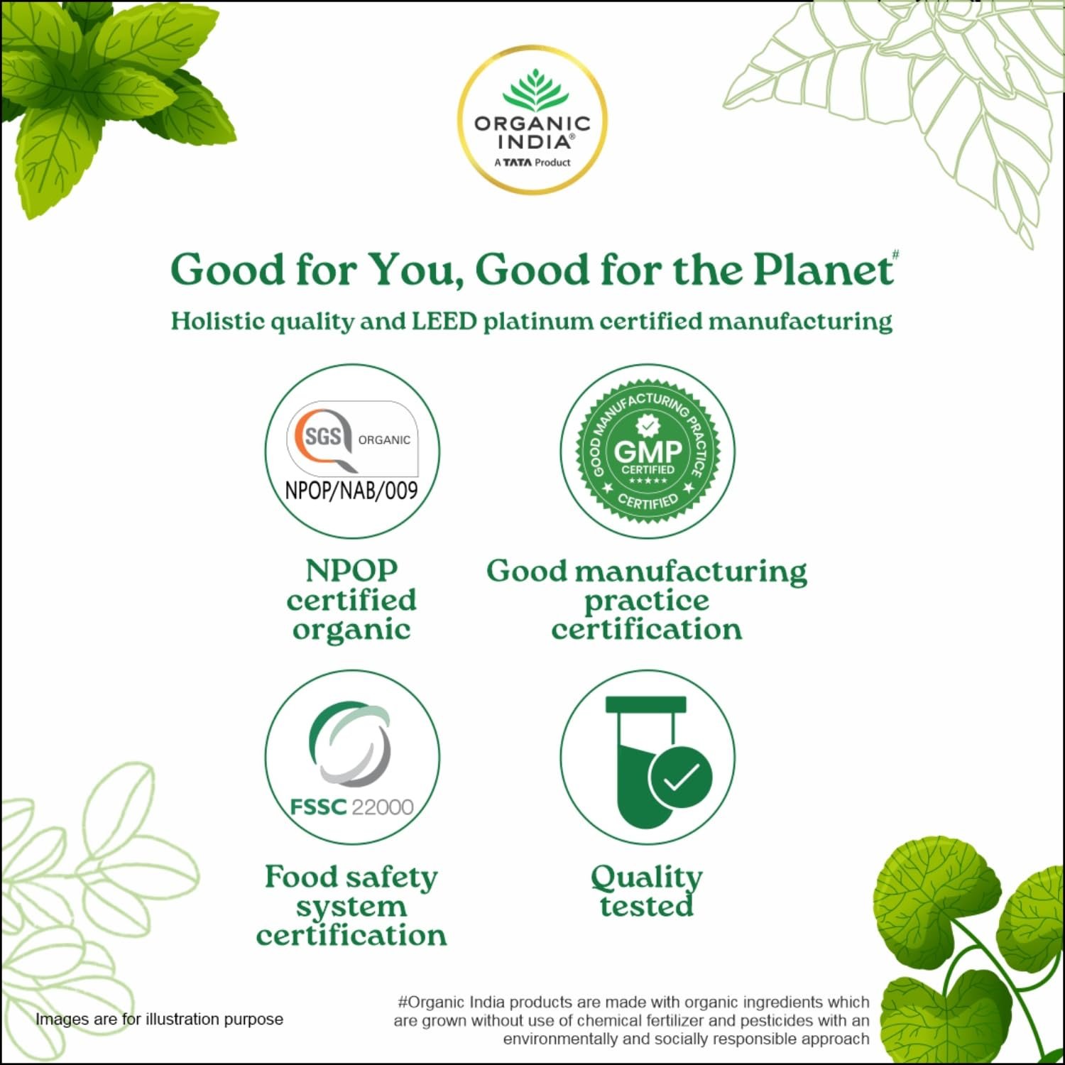 A TATA Product - Organic India Triphala Powder , Supports Immune System, Colon & Digestion, For Balanced Bowel & Gut Health - 100g thumbnail