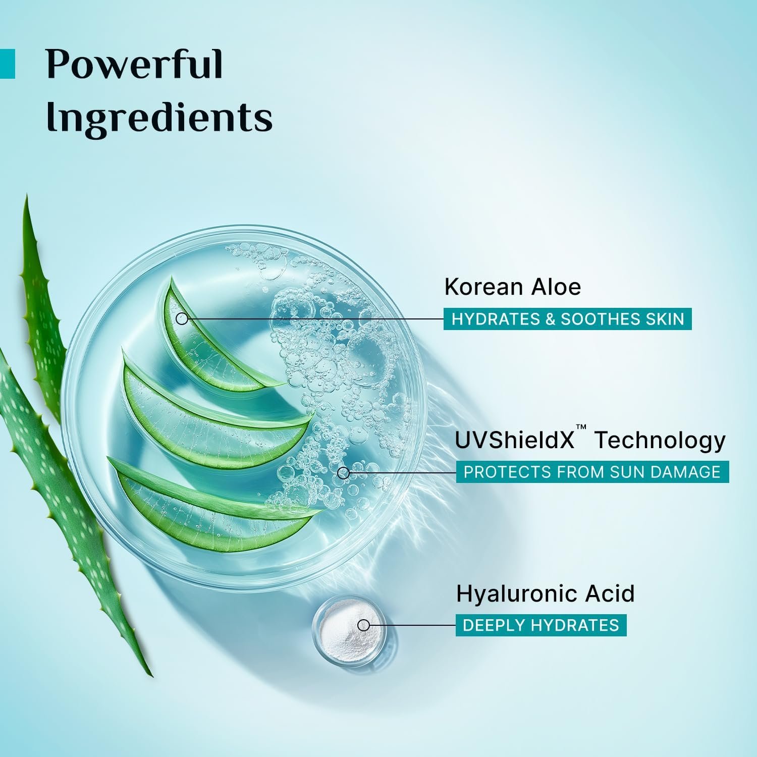 Pilgrim Korean Aloe Cooling Fluid Sunscreen SPF 50+ PA++++ with Hyaluronic Acid | InVivo Tested | No White Cast, Water Resistant| Prevents Tanning | 5°C Cooling Sensation | 50ml thumbnail