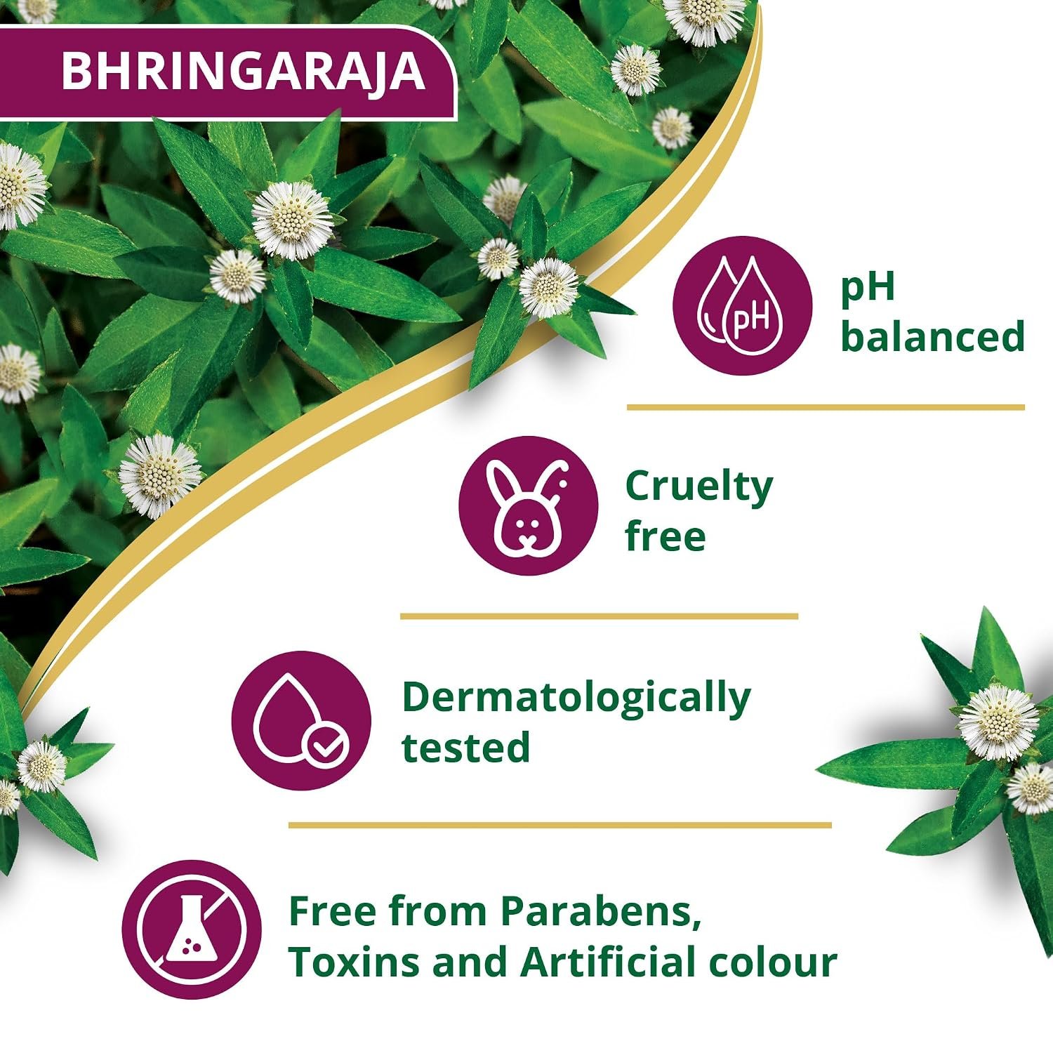 Himalaya Anti-Hair Fall Bhringaraja Shampoo, Reduces Hair Fall, Makes Hair Healthy, With Bhringaraja & Palasha,for men and women, 340ml thumbnail
