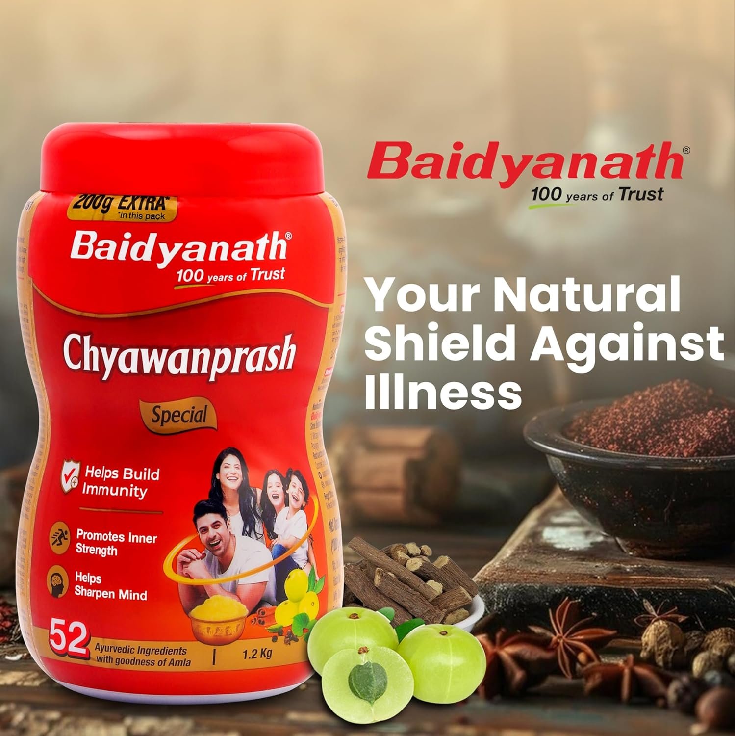 Baidyanath Chyawanprash Special-1.2 Kg |Enriched with 52 Essential Herbs & Minerals | thumbnail