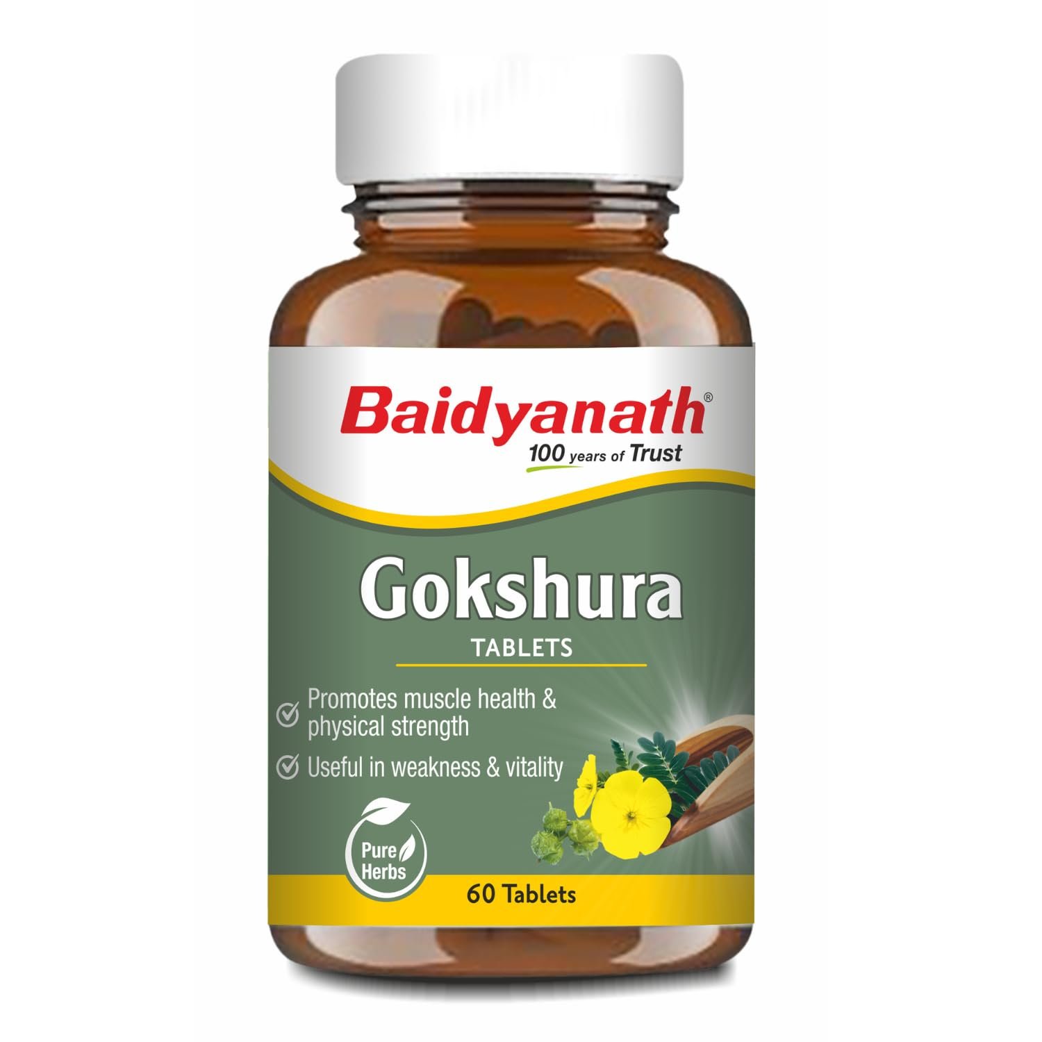 Baidyanath Ayurved Gokshura - 60 Tablets | Supports Strength & Vitality