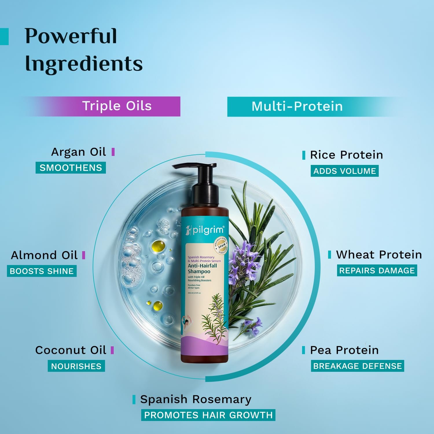 Pilgrim Rosemary Anti-Hairfall Shampoo with Multi-Protein Serum - 200ml Triple Oil Nourishing Boosters to Reduce Dryness, Breakage-Led Hair Fall, Strengthens Weak Hair, Controls Frizz, Adds thumbnail