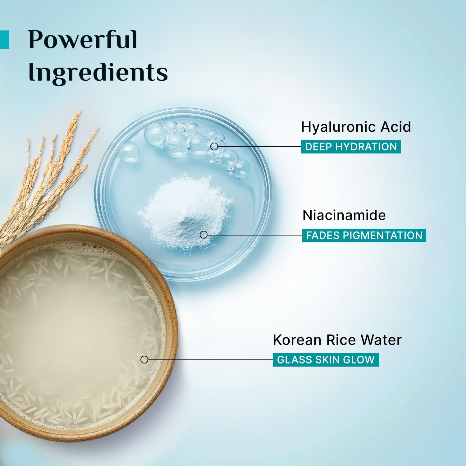 Pilgrim Korean Rice Water Hydra Glow Face Wash with 2% Niacinamide - 100ml with Niacinamide & Hyaluronic Acid, Hydrating Cleanser, Boosts Glow, Gently Cleanses, Leaves Skin Soft & Fresh, All thumbnail