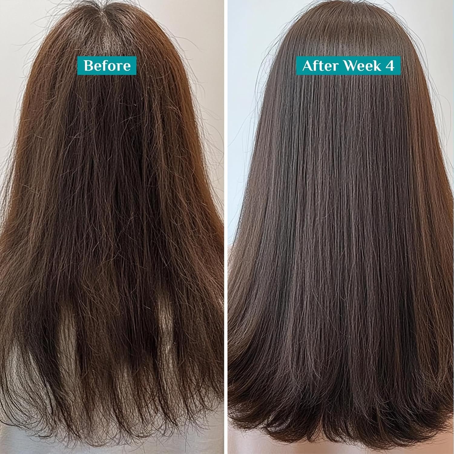 Pilgrim Spanish Rosemary & Biotin Anti Hairfall Conditioner for Reducing Hair Loss & Breakage | Upto 95% stronger hairs | Suitable for all hair types | For Men & Women 180ml thumbnail