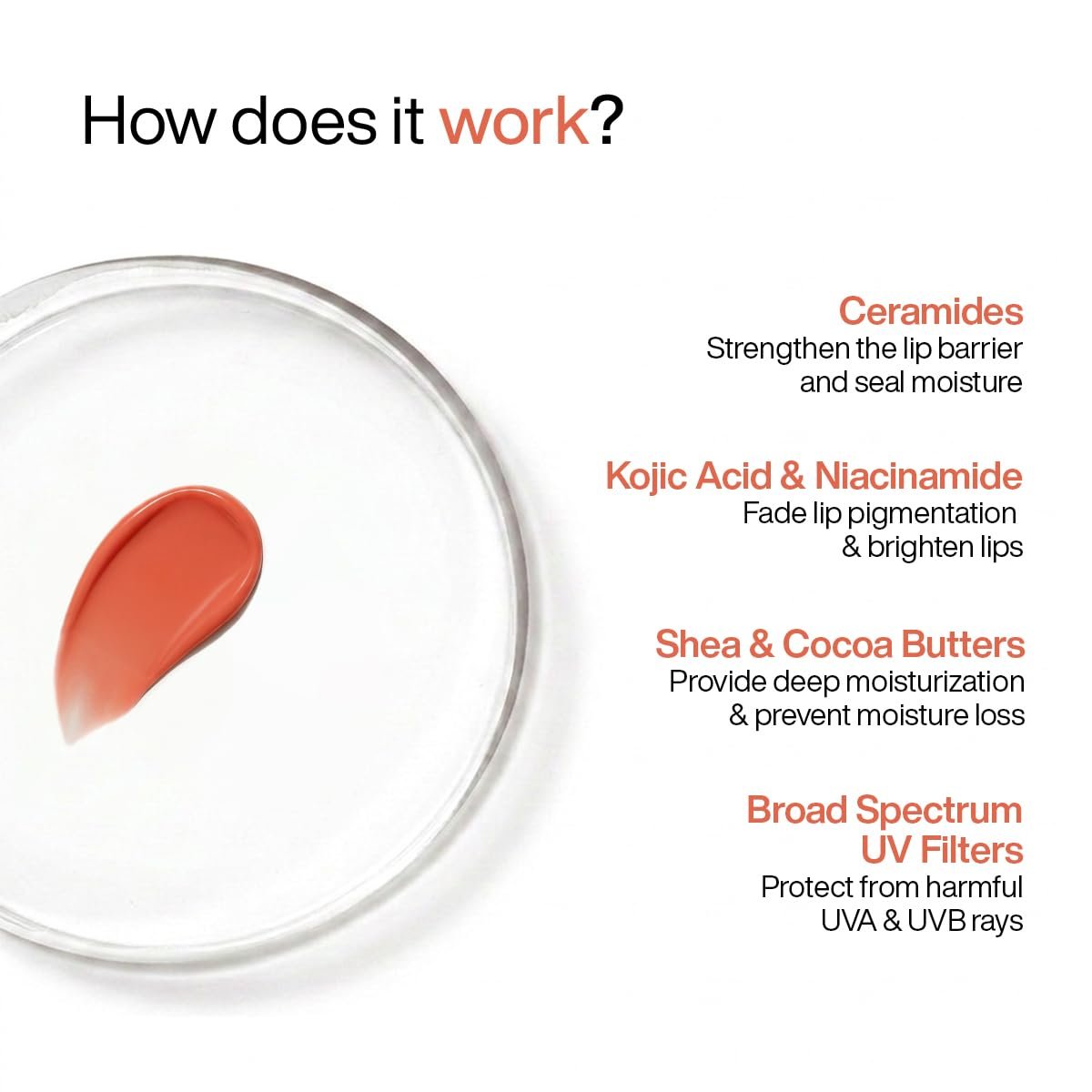 WishCare Tinted Lip Balm SPF 50 PA++++ | Brightening Lip Balm for Dark Lips | In-Vivo Tested | Kojic Acid & Niacinamide | For Women | 5g (Coral Peach) thumbnail