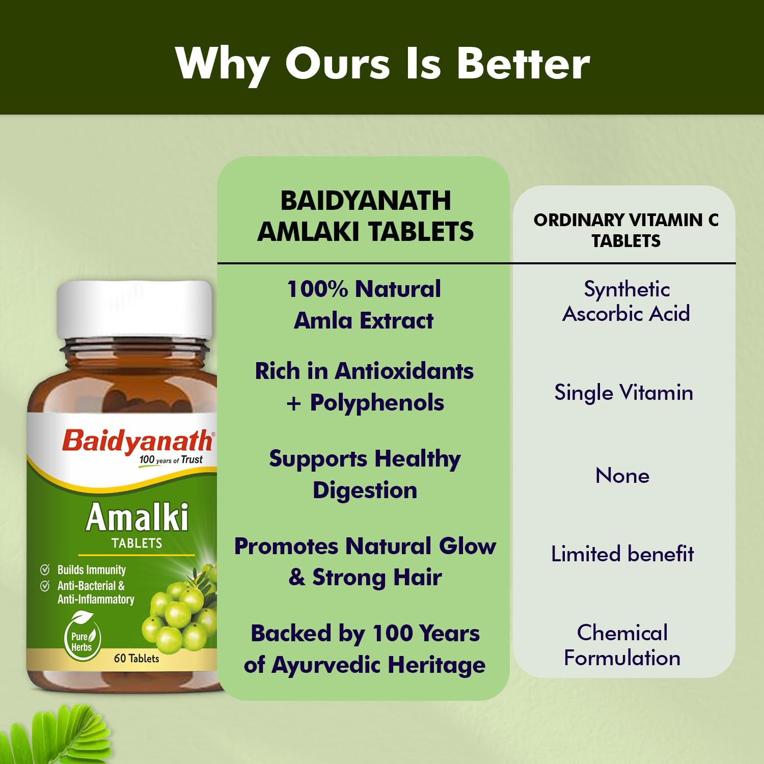 Baidyanath Ayurved Amlaki (Amla) | Helps to Build Immunity | Anti-Bacterial and Anti-Inflammatory | 60 TB thumbnail