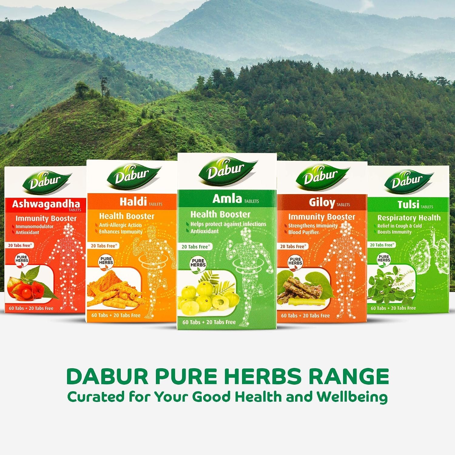 DABUR Amla Tablet - Health Booster | Rich in Antioxidants | Provides Protection against Infections | Pure herbs 60 tabs ( Get 20 tabs free) thumbnail