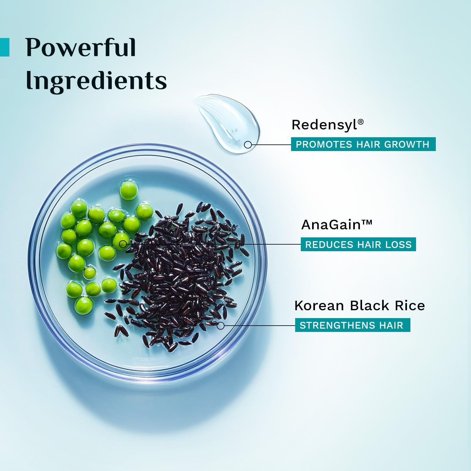 Pilgrim Anti Hairfall Conditioner with Redensyl & Anagain 200ml | Hairfall control conditioner with Black Korean Rice | Paraben & Silicone-Free | Suitable for All Hair Types | For Women and thumbnail