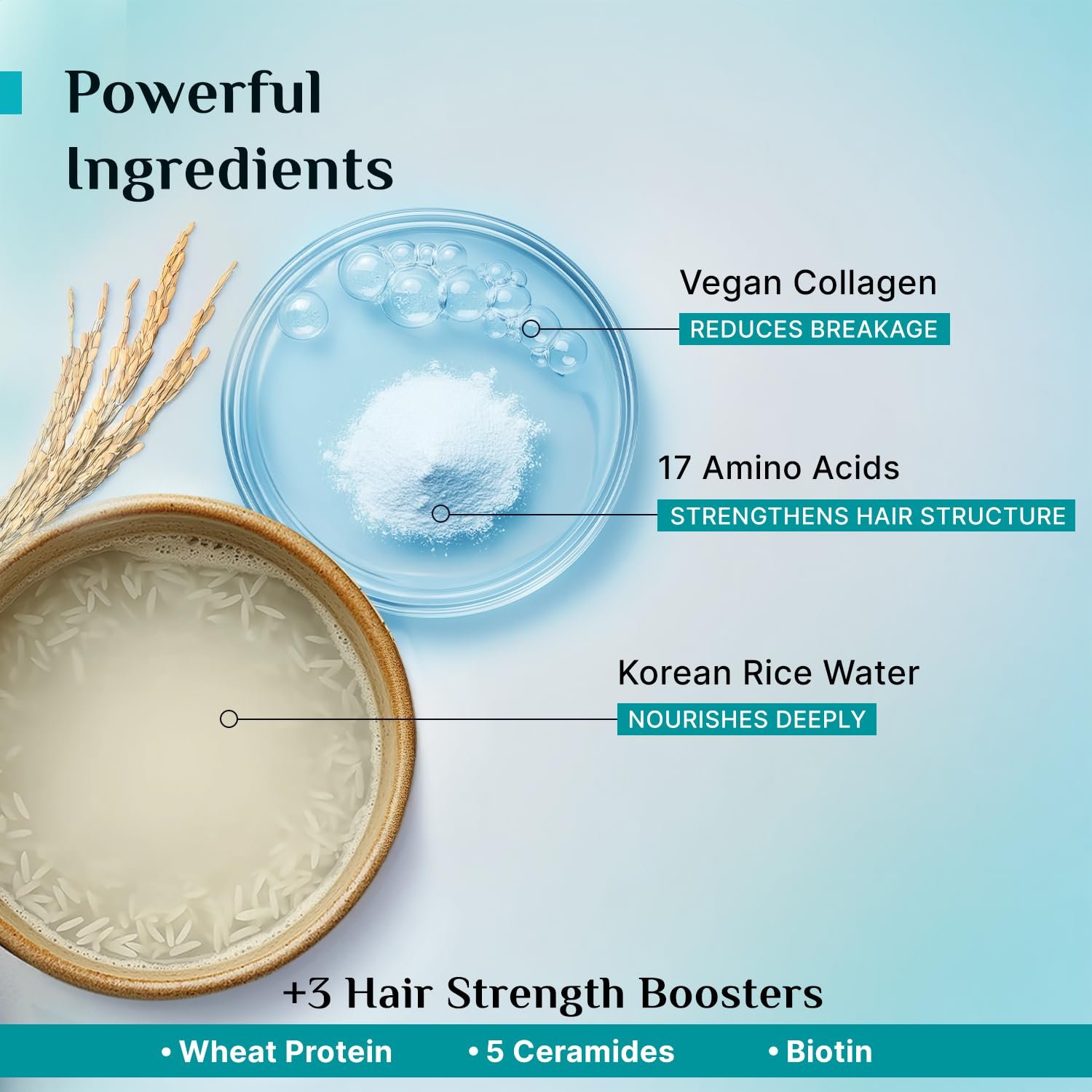 Pilgrim Korean Rice Water & Collagen Advanced Damage Repair Shampoo - 200ml 92% Less Breakage, Up to 20X Softer Hair, with 17 Amino Acids, Wheat Protein & 5 Ceramides thumbnail