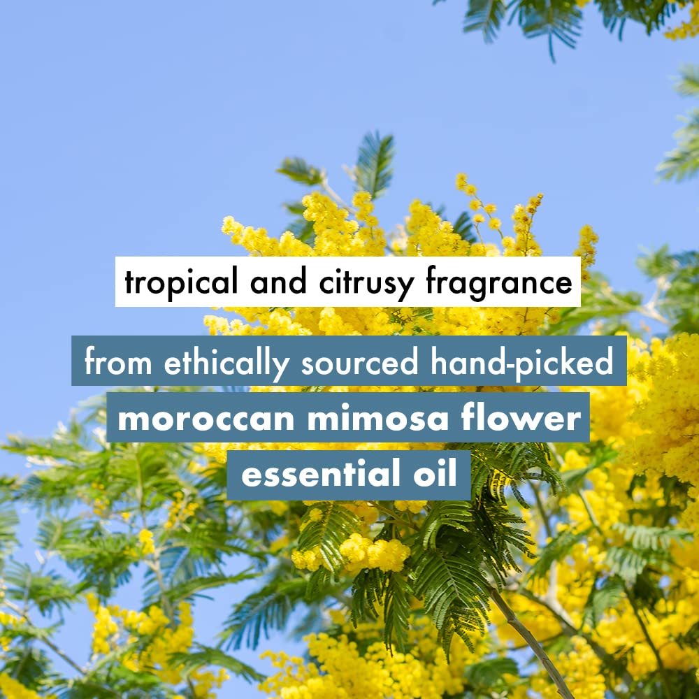 Love Beauty & Planet Coconut Water and Mimosa Flower Sulfate Free Volume and Bounty Shampoo|| No Parabens|| No Dyes|| 100% Organic Coconut Oil|| 200ml thumbnail