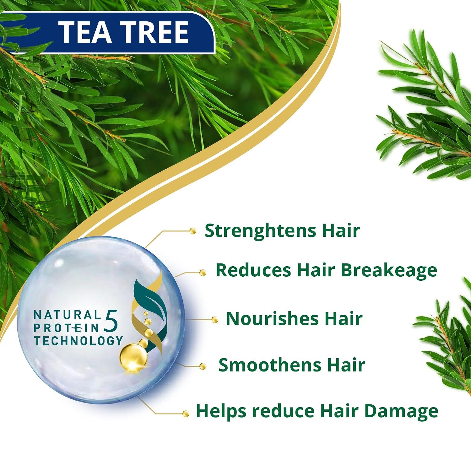 Himalaya Anti-Dandruff Tea Tree Shampoo 180 ml | with Tea Tree oil, Aloe Vera & Natural Proteins | Up to 100% Free From Dandruff | Dermatologically Tested | Non-Drying | For Women & Men thumbnail