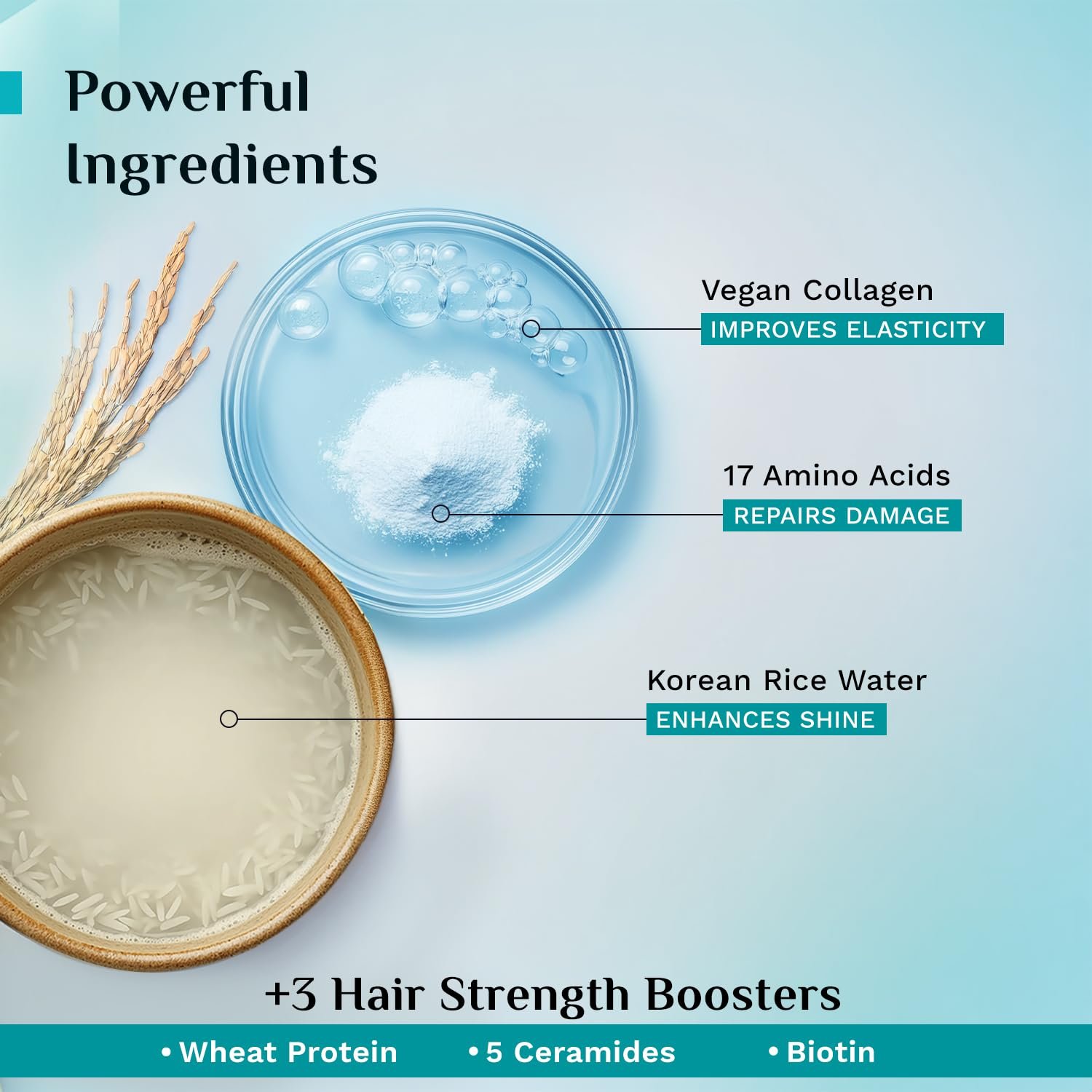 Pilgrim Unscented Korean Rice Water & Collagen Advanced Damage Repair Mask - 200ml thumbnail