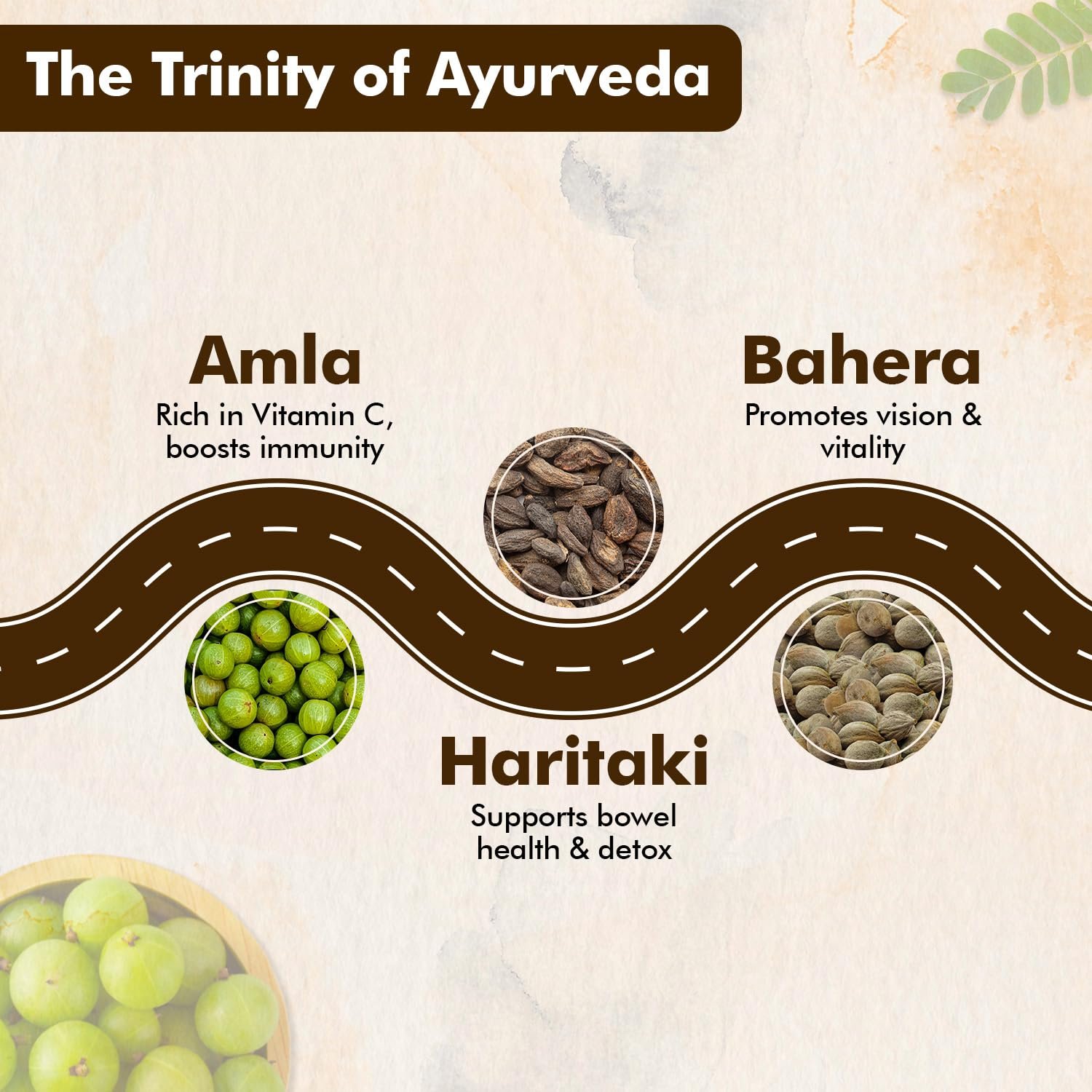 Baidyanath Ayurved Triphala 60 Tablets | Supports Healthy Digestion | Improves Bowel Wellness| thumbnail