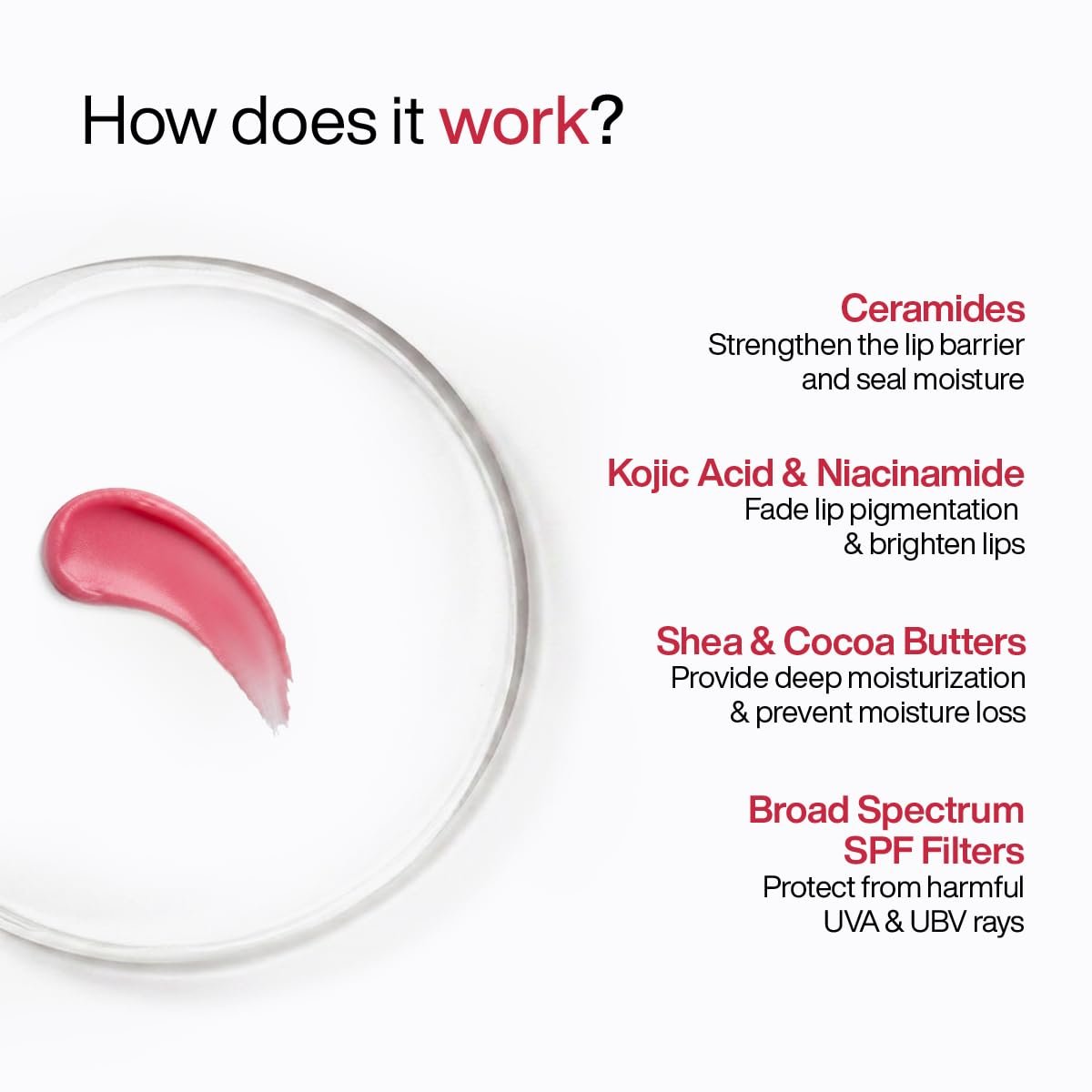WishCare Tinted Lip Balm SPF 50 PA++++ | Brightening Lip Balm for Dark Lips | In-Vivo Tested | Kojic Acid & Niacinamide | For Women | 5g thumbnail