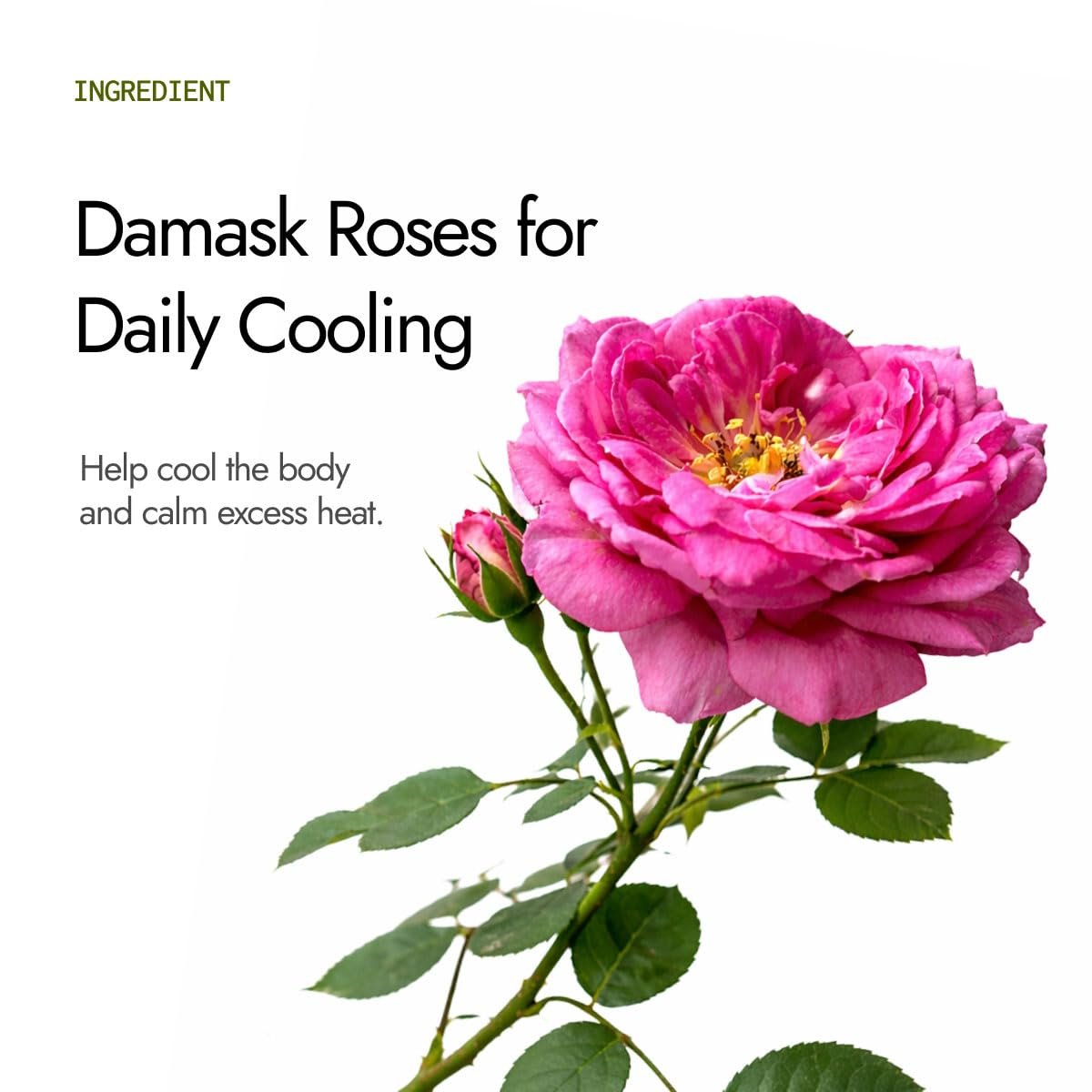 Organic Damask Rose Gulkand | Traditional Sun-Cooked Rose Petal Preserve | Made with Organic Rose Petals & Mishri | No Artificial Colours or Flavours | 300g thumbnail