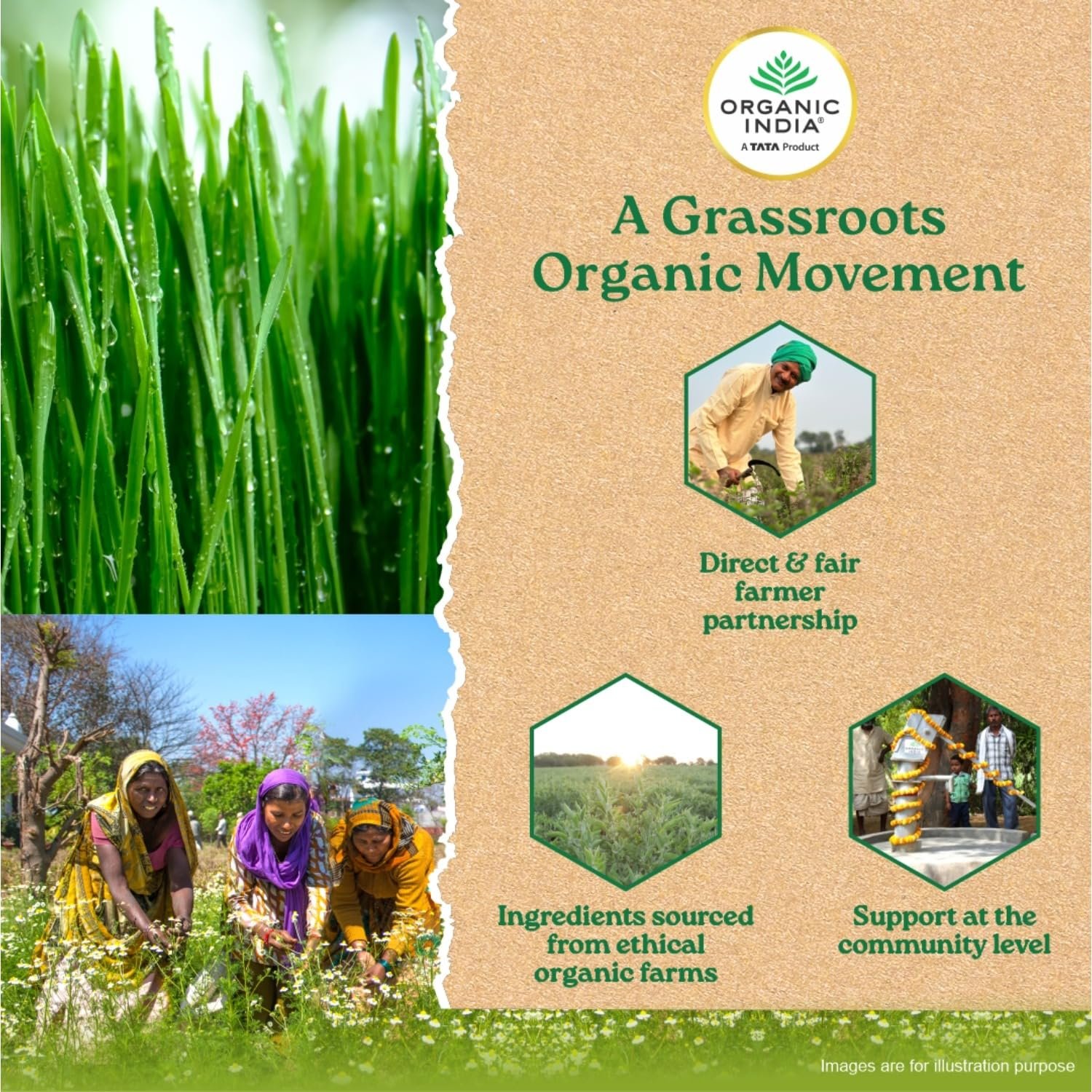 A TATA Product - Organic India Wheat Grass - 100g, Supports Immunity & Boosts Stamina, Rich in Natural Antioxidants, Vitamins & Minerals thumbnail
