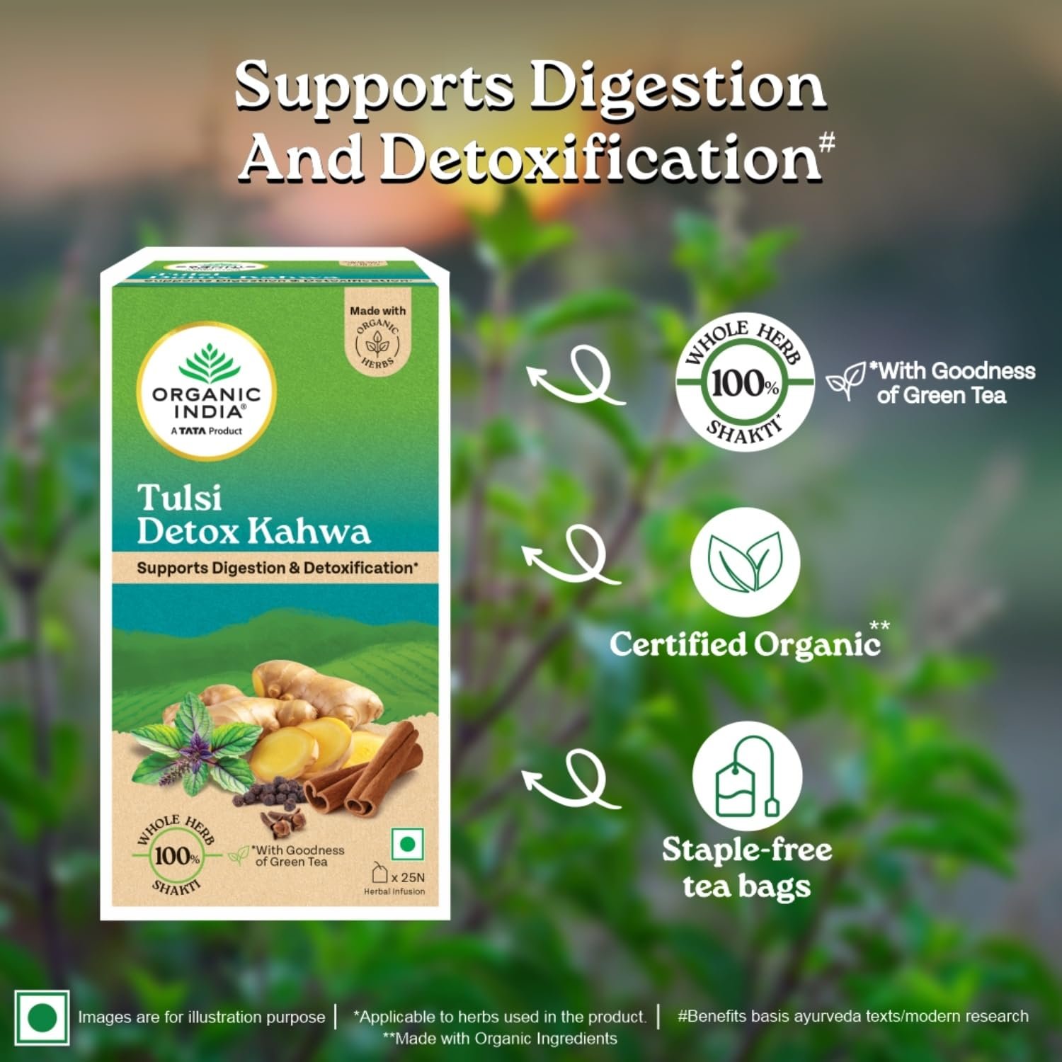 TATA Product - Organic India Tulsi Detox Kahwa - 25 Tea Bags, Helps Improve Digestion & Detoxification, Rich in Antioxidants, Made with Tulsi, Ginger, Clove, and Green Tea thumbnail
