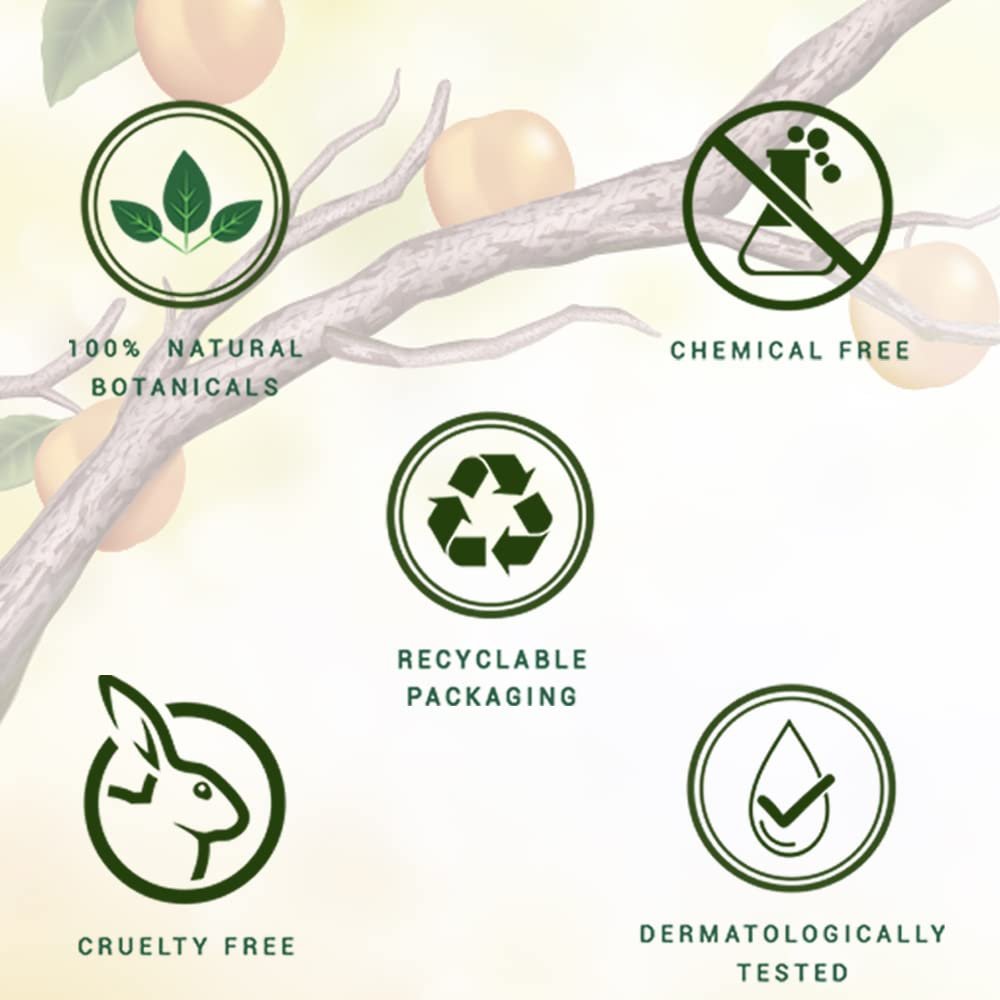 Biotique Apricot Refreshing Body Wash | Keeps Skin Fresh and Clean | Brightens Skin and Reducing Dark Spots | 100% Botanical Extracts | Suitable for All Skin Types | 200ml thumbnail