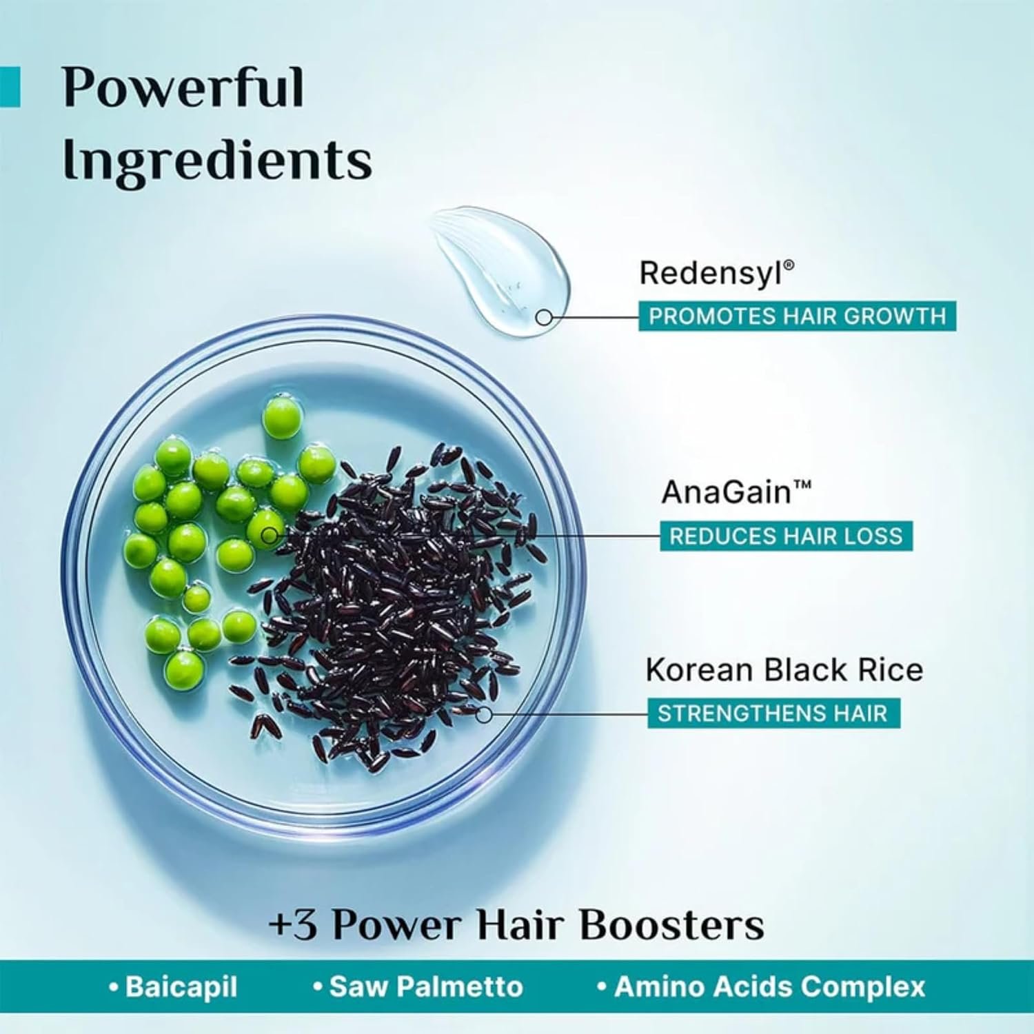 Pilgrim Redensyl & Anagain Hairfall Control Shampoo with Korean Black Rice 200ml | Anti Hairfall shampoo for Men & Women | Reduces Hairfall | Promotes Hair Thickness | For All Hair Types thumbnail