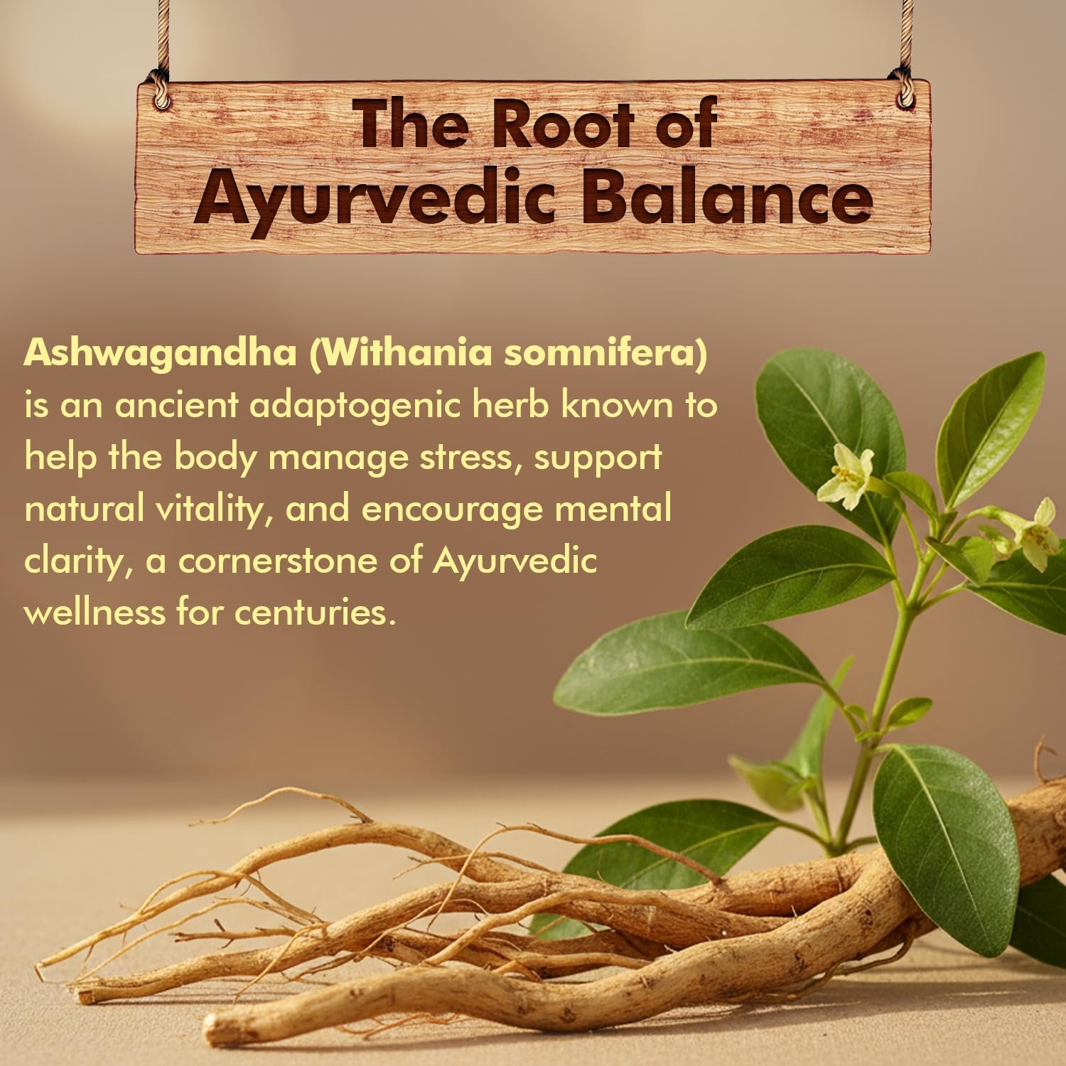Baidyanath Ayurved Ashwagandha 60 Tablets for General Wellness | Helps Release Stress & Anxiety (Pack of 1) thumbnail