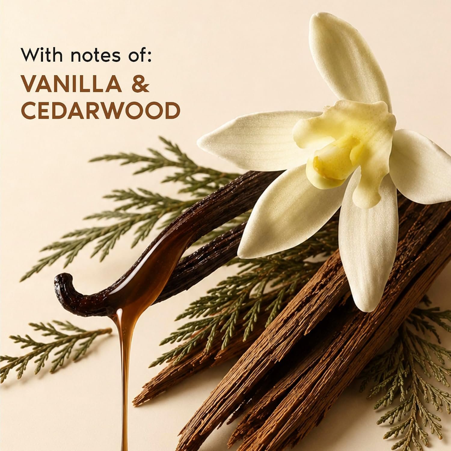 Nykaa Wanderlust Swiss Vanilla Perfume Body & Hair Mist, Notes of Vanilla & Cedarwood, 8 Hrs Long-Lasting Fragrance, 200 ml thumbnail