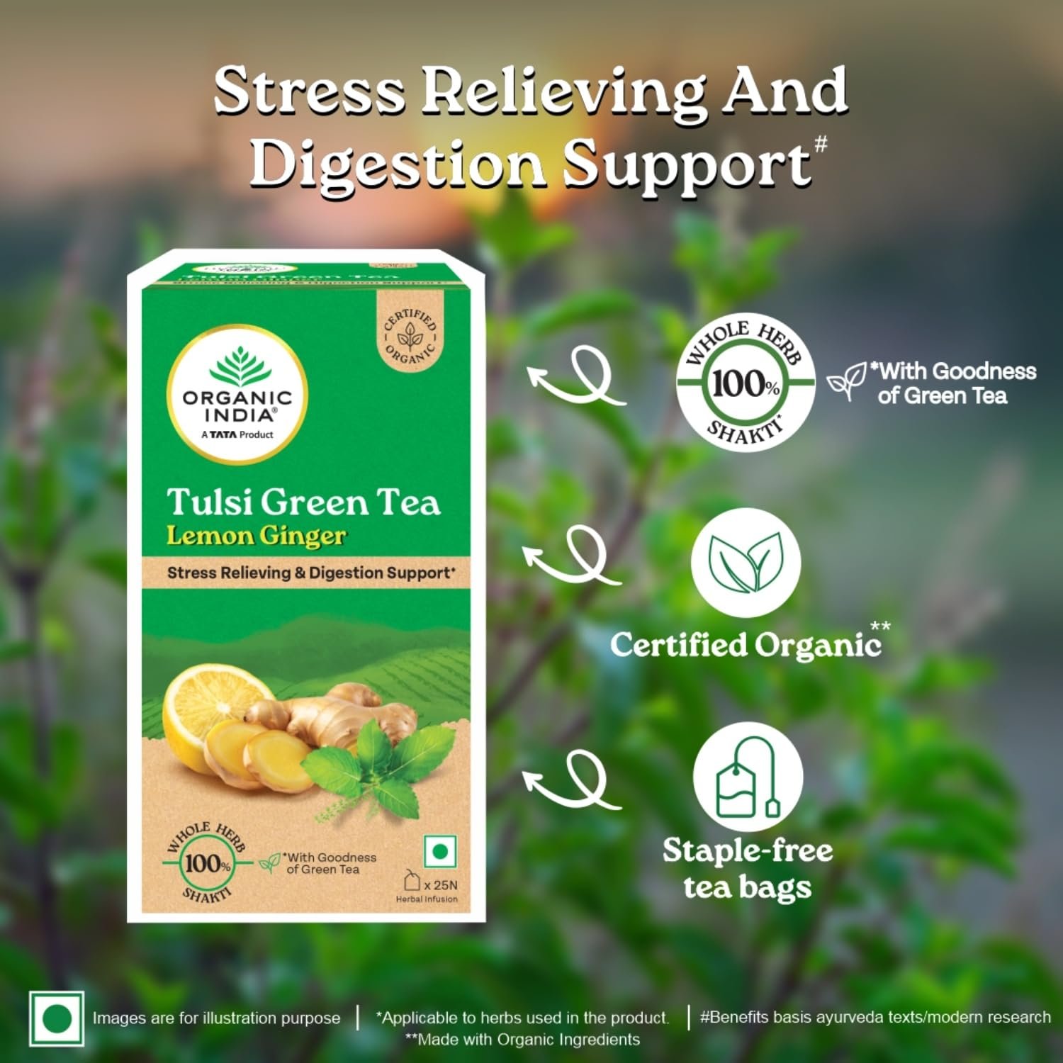 A TATA Product - Organic India Tulsi Green Tea Lemon Ginger , Herbal Blend with Green-Tea, Tulsi, Lemon & Ginger, Supports Digestion -25 Teabags. thumbnail