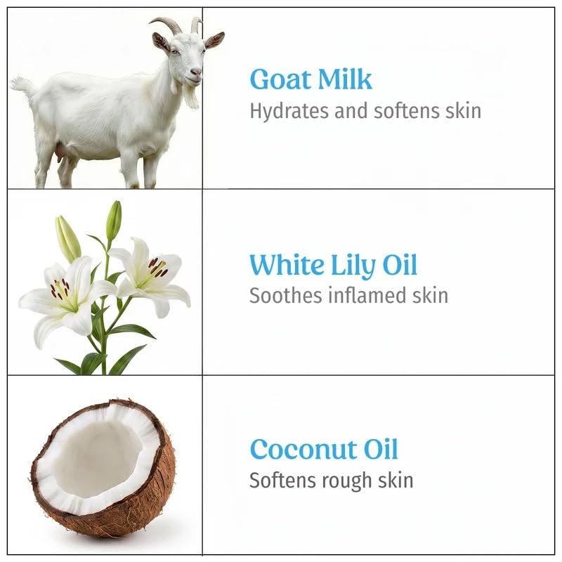 Vilvah Goat Milk Body Wash | Gentle Hydrating Body Cleanser for Deep Cleansing & Skin Nourishment | Repairs Skin Barrier & Soothes Irritation | With Goat Milk, White Lily Oil & Coconut Oil | thumbnail
