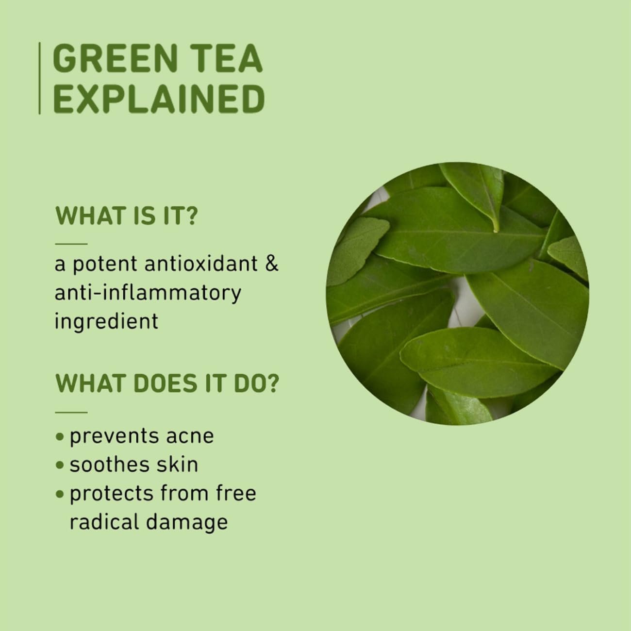 Plum Green Tea Oil-Free Face Moisturizer | With Niacinamide & Hyaluronic Acid | Fights Pimples & Hydrates | Fades Blemishes & Brightens Skin | Non-Sticky & Long-Lasting Moisturizer for Face thumbnail