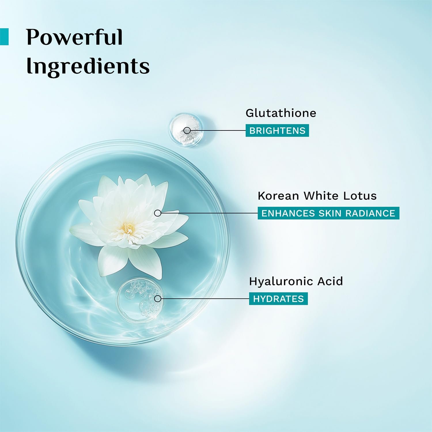 PILGRIM Korean White Lotus Face Cream with SPF 50 | White Lotus Day cream for women daily use | Face cream for dry skin, sensitive skin & oily skin | For Women and Men | 100g thumbnail