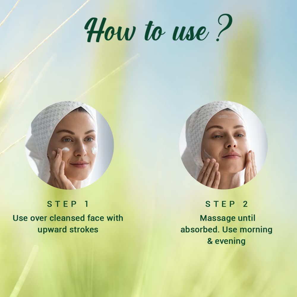 Biotique Wheat Germ Anti- Ageing Night Cream | Reduces Fine Lines | Lightens dark Spots | 100% Botanical Extracts | Suitable for All Skin Types | 50g thumbnail