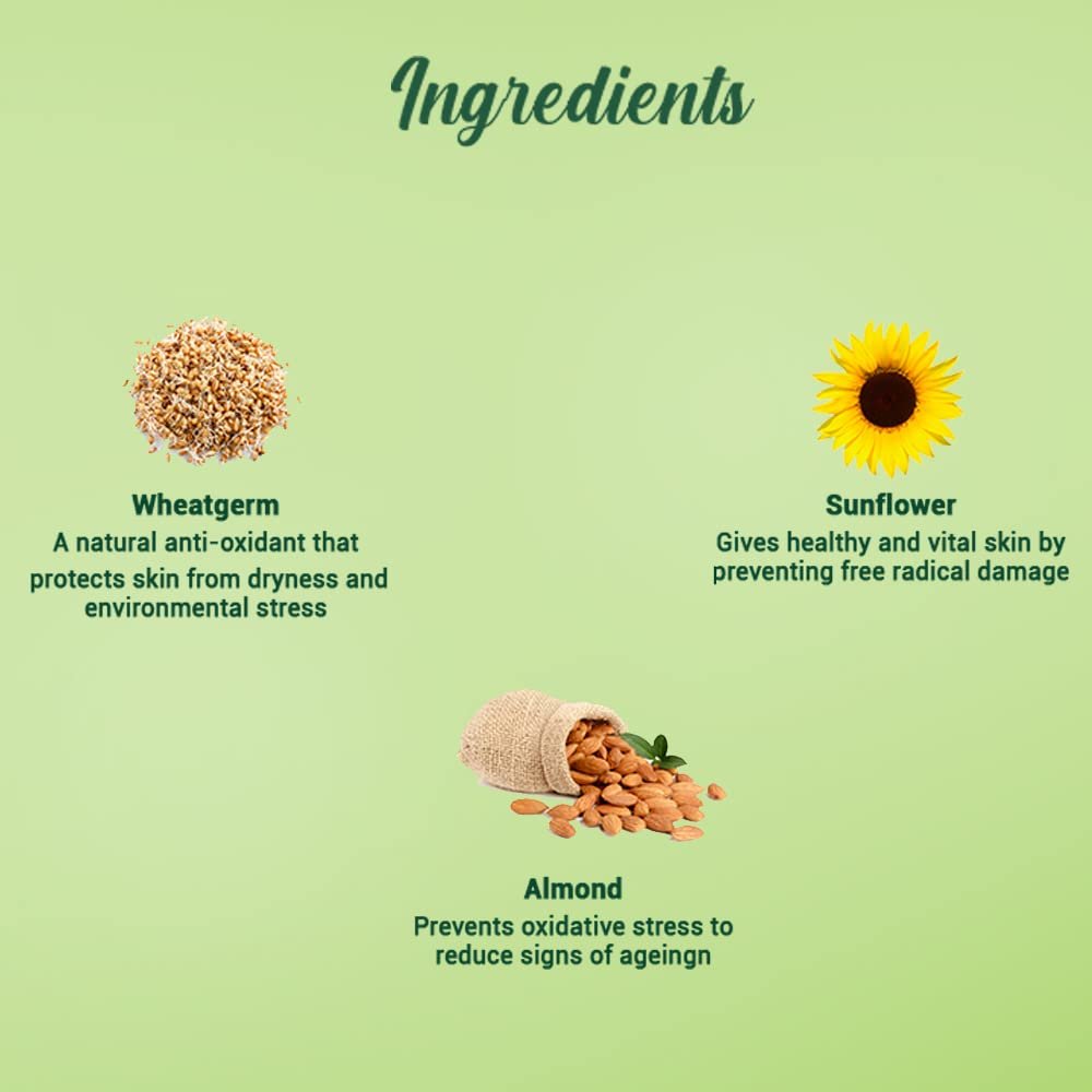 Biotique Wheat Germ Anti- Ageing Night Cream | Reduces Fine Lines | Lightens dark Spots | 100% Botanical Extracts | Suitable for All Skin Types | 50g thumbnail