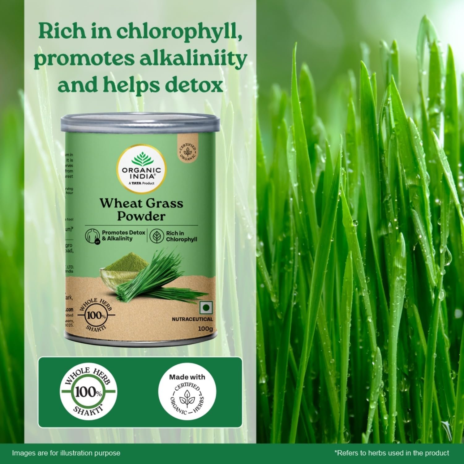 A TATA Product - Organic India Wheat Grass - 100g, Supports Immunity & Boosts Stamina, Rich in Natural Antioxidants, Vitamins & Minerals thumbnail